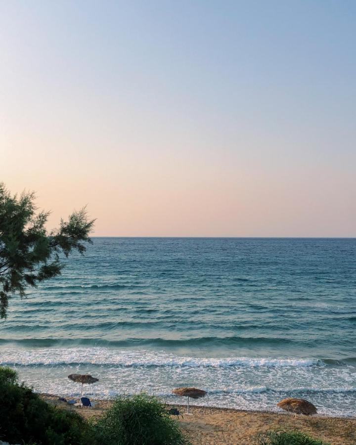 Stamiris Beach Hotel Vasilikos  Bagian luar foto